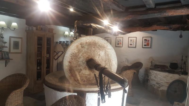 Entreprise pour traitement des bois de charpente en Corse