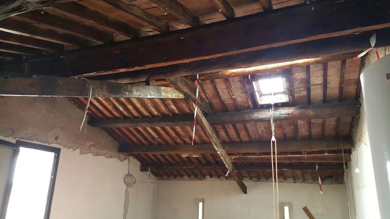 Traitement des bois sur Marseille prix