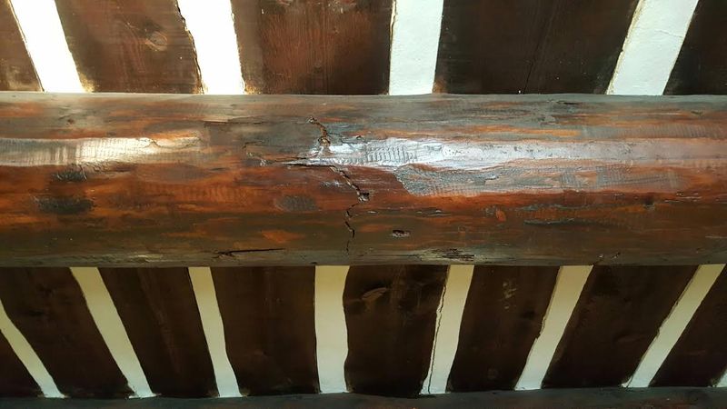 Traitement des bois par injection à Mimet