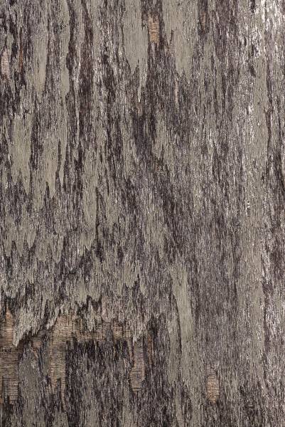 Protection de bois de charpente anti capricornes par injection à la Seyne sur Mer dans le Var